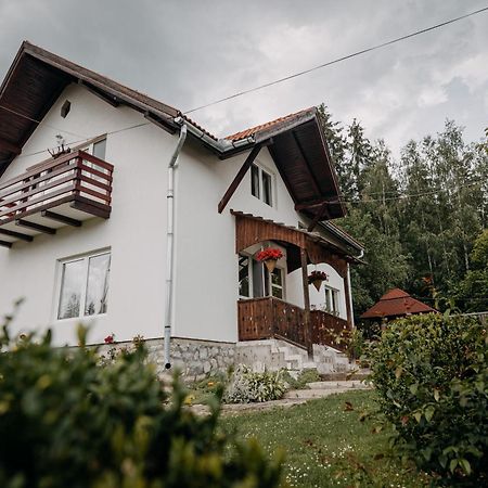 Kaffai Panzio Bed and Breakfast Izvoru Mureşului Exteriör bild