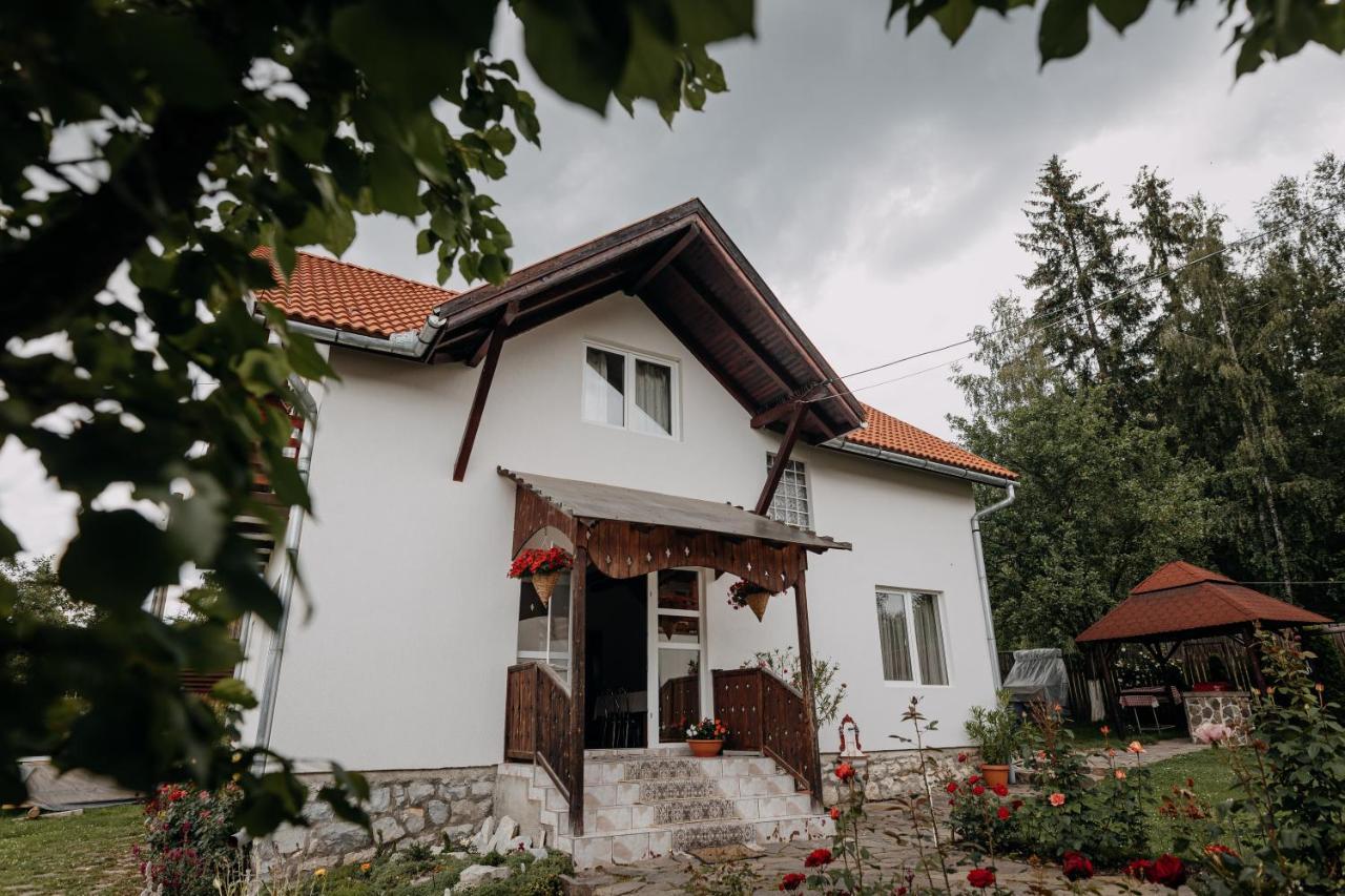 Kaffai Panzio Bed and Breakfast Izvoru Mureşului Exteriör bild