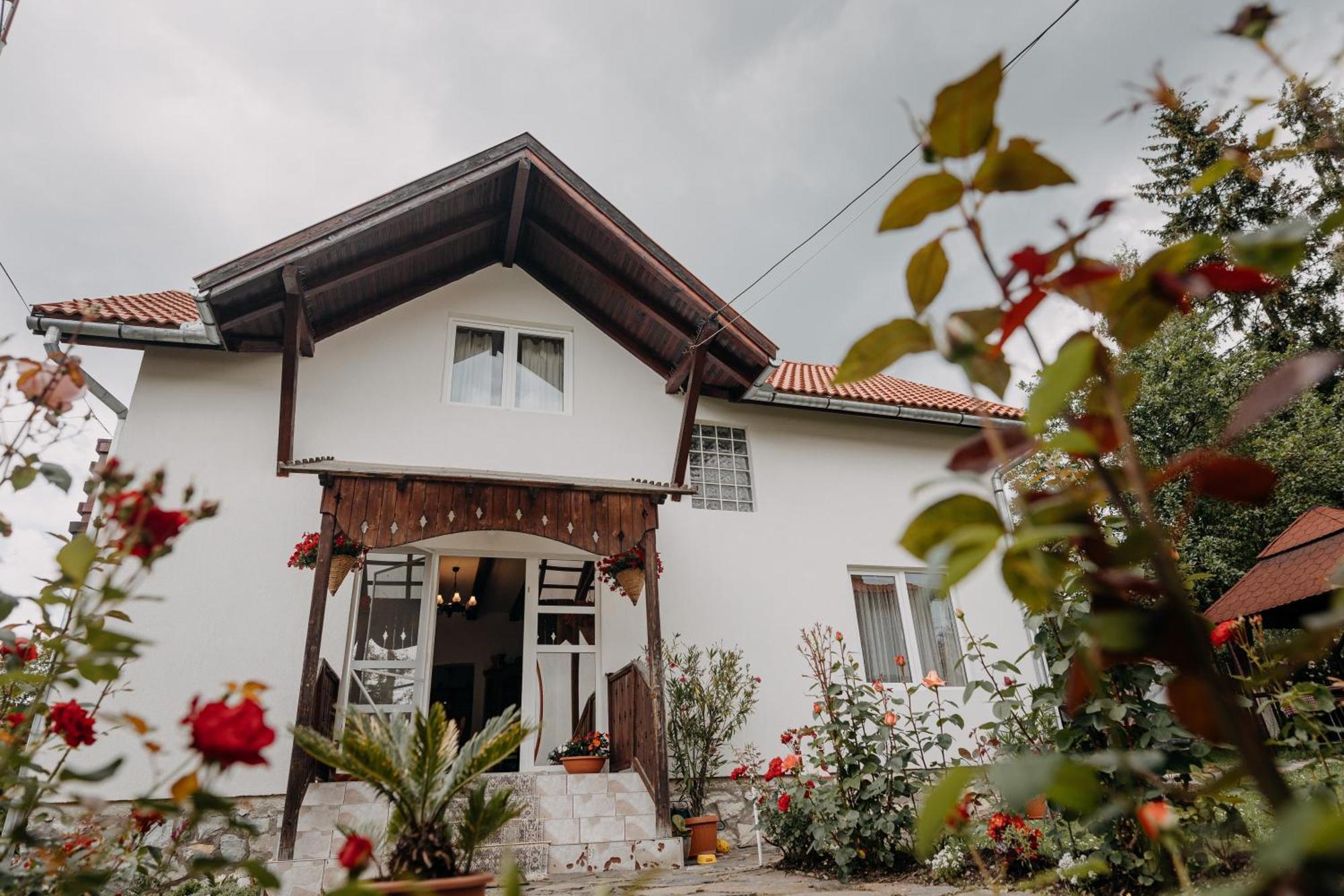 Kaffai Panzio Bed and Breakfast Izvoru Mureşului Exteriör bild